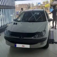 ۲۰۶ اس دی تمام رنگ