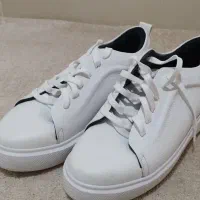 کفش چرم|کیف، کفش، کمربند|رشت, گیل|دیوار