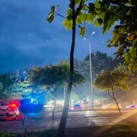 خانم جهت کار در عطاری