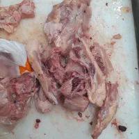 ضایعات مرغ روز