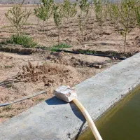 باغچه-نیجه