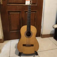 گیتار استگ stagg اصل