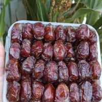 خرما کبکاب و زاهدی ارسال از خشت و تهران|خوردنی و آشامیدنی|تهران, شهرک چیتگر|دیوار
