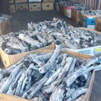 پسته سفید درجه یک