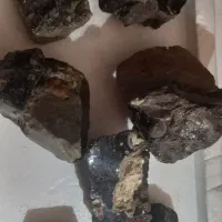 فسیل قدیمی و ابسیدین