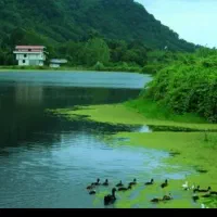 اجاره روزانه سوئیت لنگرود