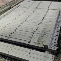 تیر باغی|خدمات باغبانی و درختکاری|مهاباد (آذربایجان غربی), |دیوار