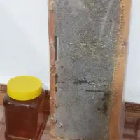 عسل طبیعی اردبیل دشت سبلان