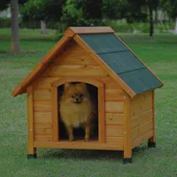 انواع لانه سگ|لوازم جانبی حیوانات|رشت, انصاری|دیوار