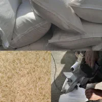 برنج فجر سوزنی