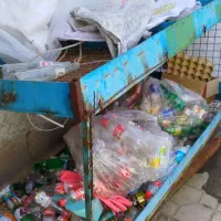 قفسه میوه‌ فروشی