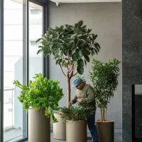 فضاسازی گل و گیاه