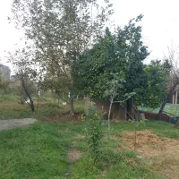 فروش زمین و خونه کلنگی|فروش زمین و ملک کلنگی|پره‌سر, |دیوار