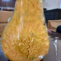 کدو آماده طراحی شده یلدایی|خوردنی و آشامیدنی|اصفهان, الهیه|دیوار