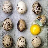 تخم بلدرچین ارگانیک