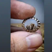 انگشتر شجر ناب فردوس|جواهرات|رشت, خرسندی|دیوار