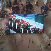 الجی55 فورکی هوشمندبه ضمانت|تلویزیون و پروژکتور|مشهد, خواجه ربیع|دیوار