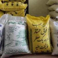 حراج برنج چمپه