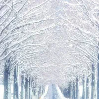 راننده خانم.هستم