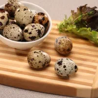 تخم بلدرچین فله و بسته بندی عمده و تک