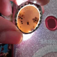 انگشتر شجر درشت|جواهرات|فردیس, شهرک شهید حسینی|دیوار