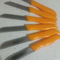 چاقو میوه خوری المانی اصل