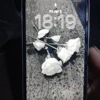 ایفون ۱۱|موبایل|قم, باغ شریفی|دیوار