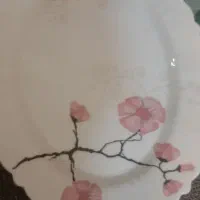 ظرف غذا خوری|ظروف سرو و پذیرایی|زاهدان, |دیوار