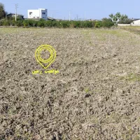 فروش ز مین در مازندران(جاده دریا گهرباران)|فروش زمین و ملک کلنگی|طبقده, |دیوار