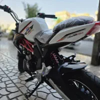 همراه Mini XR125 مدل ۱۴۰۵ صفر کیلومتر (جشنواره)|موتورسیکلت|تهران, تهرانپارس غربی|دیوار