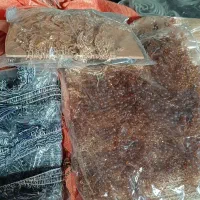 ریشه پرده