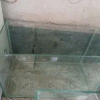 دو عدد اکواریم سالم
