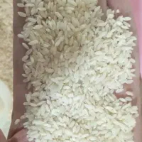 برنج چمپا میداوود|خوردنی و آشامیدنی|میانکوه, |دیوار