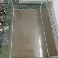 آکواریوم بزرگ