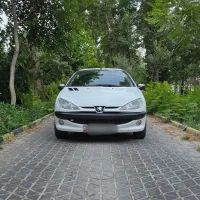 206 SD V8|خودرو سواری و وانت|فولادشهر, B7|دیوار