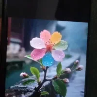 Redmi9t|موبایل|تربت جام, حافظ|دیوار