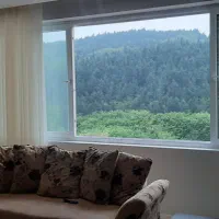 مبل|مبلمان خانگی و میز عسلی|گرگان, |دیوار