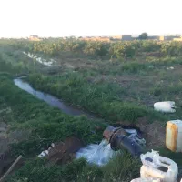 باغ-پسته