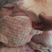 دنبه سفیدوتمیزمال میشه|خوردنی و آشامیدنی|تهران, سلسبیل شمالی|دیوار