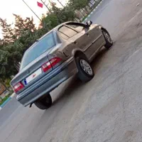 سمند خاکستری