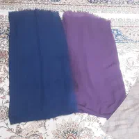 عروسک|اسباببازی|گرگان, |دیوار