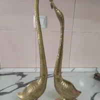 قوعاشق