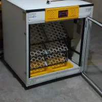 دستگاه جوجه کشی آفرینش 504تایی