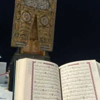 فروش فوری فیش