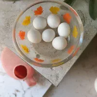 یک جفت عروس هلندی بالغ|پرنده|گلبهار, شهر جدید گلبهار|دیوار
