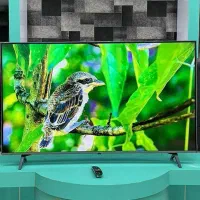 فروشگاه لوازام خانگی بانه تجارت تلویوزن الجی