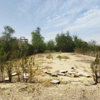 ۸۰۰ متر زمین سند تک برگ