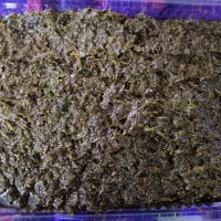 سبزیجات نازخاتون|خدمات پذیرایی، مراسم|بیرجند, |دیوار