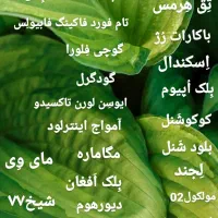 حراج عطر به صورت پک|حراج|مشهد, حسابی جنوبی (شهرک غرب)|دیوار