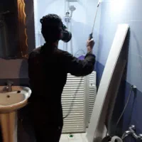 دفع حشرات خانگی